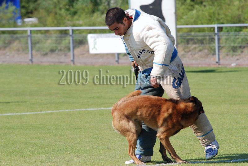 3 EME SELECTIF 2009 GRANDE SYNTHE 450.jpg